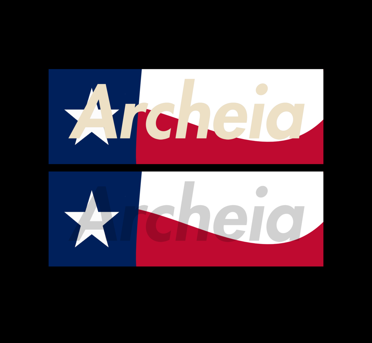Texas Box Logo